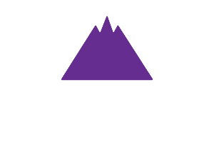 The Purple Mountain Company